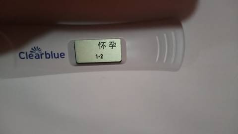 journal_insert_pic_2029210486