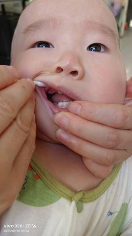 journal_insert_pic_4061232576