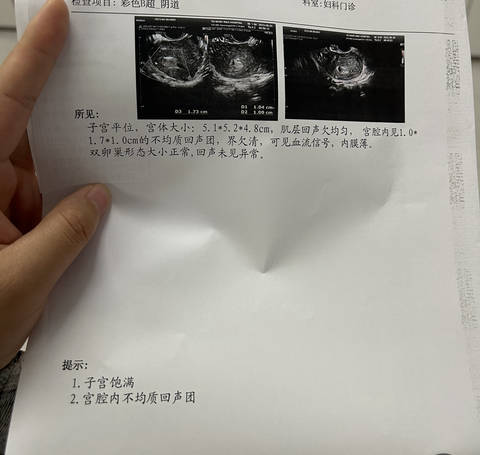 journal_insert_pic_4066329476