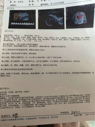 journal_insert_pic_4087392834