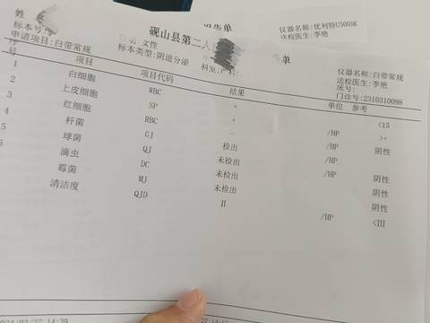 journal_insert_pic_4105376900