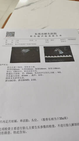 journal_insert_pic_4362080077