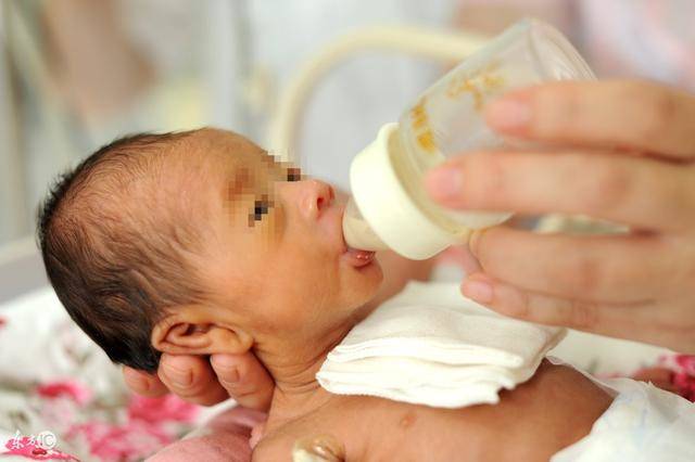 早产儿如何进行母乳喂养?如何转换配方奶?_早