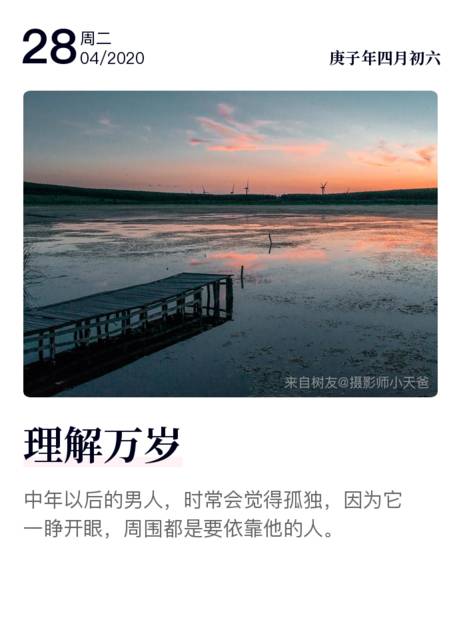 理解万岁