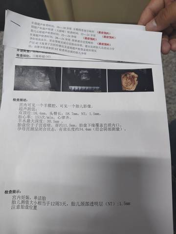 journal_insert_pic_4362116765