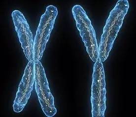 女性的孕前检查项目都有哪些?备孕夫妻你们清