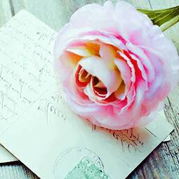 journal_insert_pic_529438956