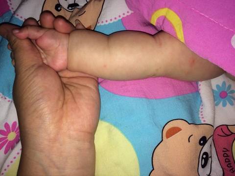 journal_insert_pic_532582344