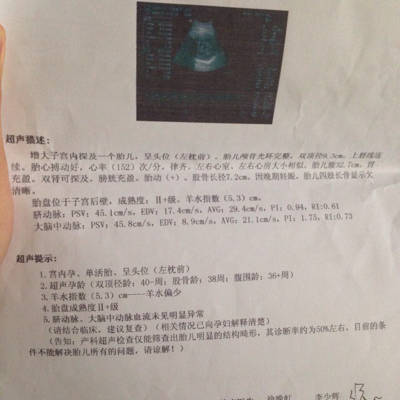 journal_insert_pic_543461143