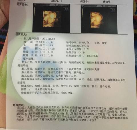 journal_insert_pic_545194355