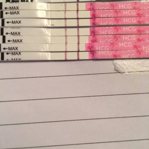 journal_insert_pic_544918503