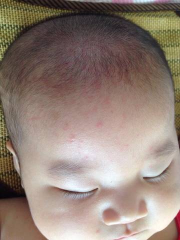 journal_insert_pic_546557247