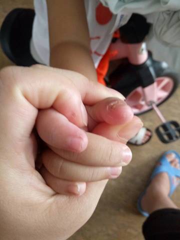 journal_insert_pic_546325515