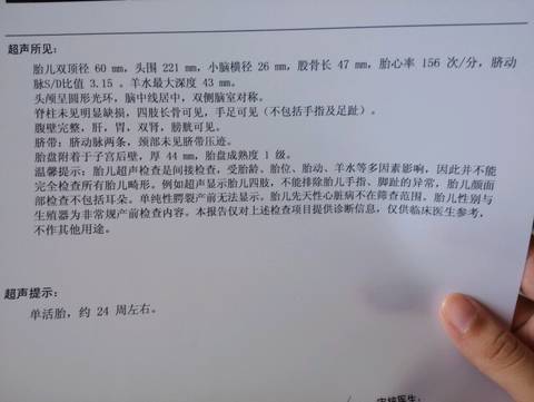 journal_insert_pic_546895289