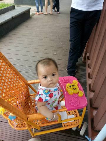 journal_insert_pic_548723759