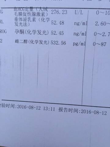 journal_insert_pic_550644780