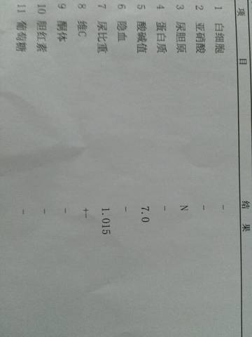 journal_insert_pic_550395143