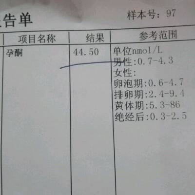 journal_insert_pic_550369290