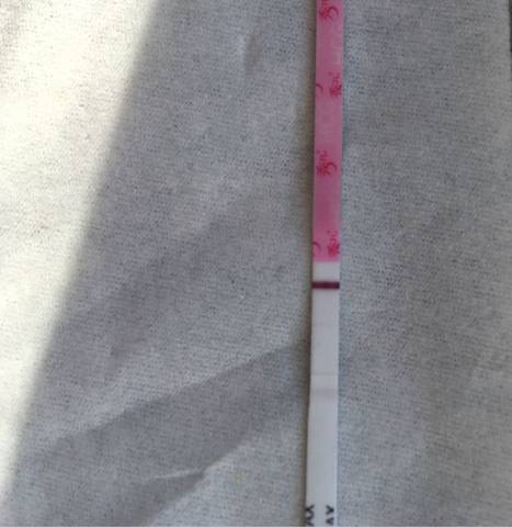 journal_insert_pic_550997880