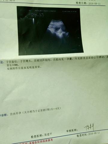 journal_insert_pic_551790050