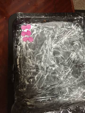 journal_insert_pic_553555959