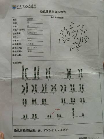 journal_insert_pic_553432824