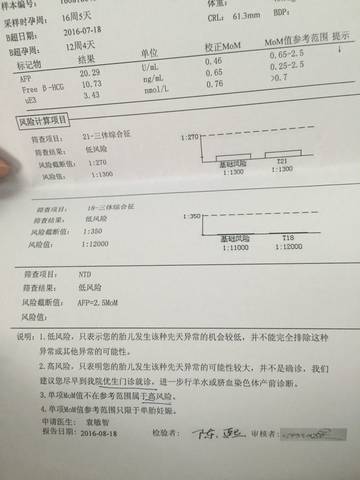 journal_insert_pic_558773864