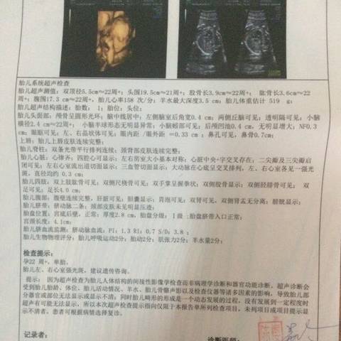 journal_insert_pic_558535571