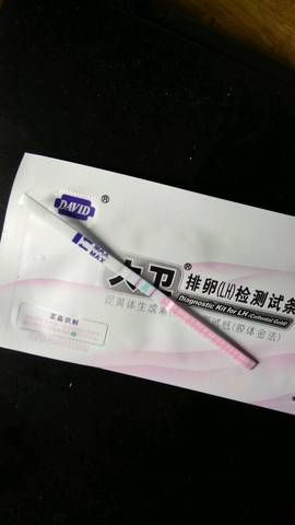 journal_insert_pic_563604212