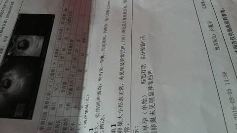 journal_insert_pic_565657113