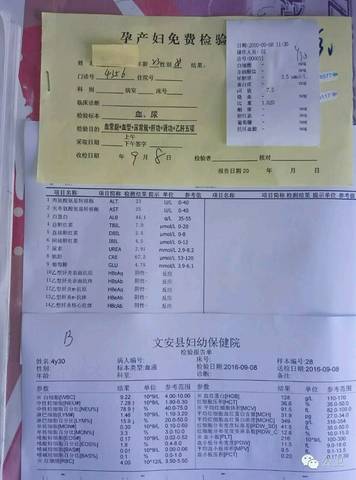 journal_insert_pic_567521421