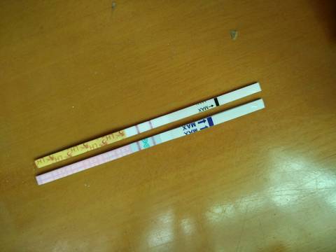 journal_insert_pic_567655078