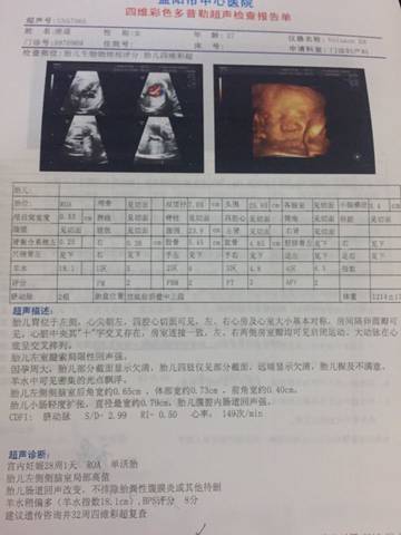 journal_insert_pic_568312295