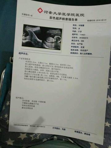 journal_insert_pic_568074852