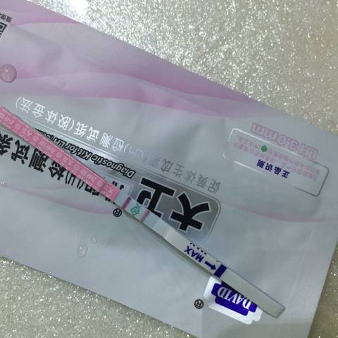 journal_insert_pic_568596999