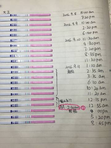 journal_insert_pic_569343460