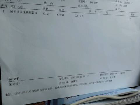 journal_insert_pic_569147167