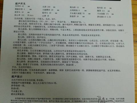 journal_insert_pic_570227970