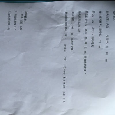 journal_insert_pic_570374008