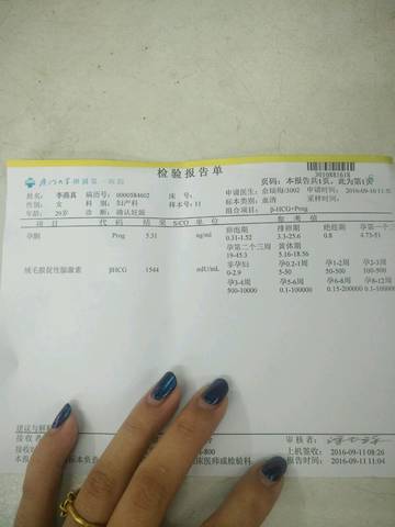 journal_insert_pic_570245239