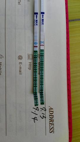 journal_insert_pic_570875372
