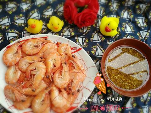 journal_insert_pic_571668646