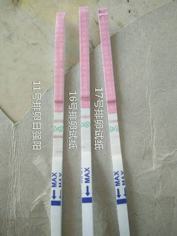 journal_insert_pic_572458524