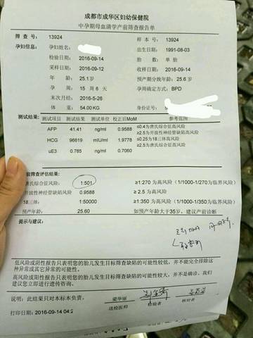 journal_insert_pic_573986535