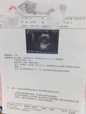 journal_insert_pic_574373479