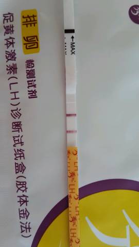 journal_insert_pic_574432310