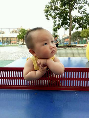 journal_insert_pic_574528160