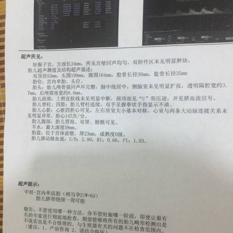 journal_insert_pic_575369535