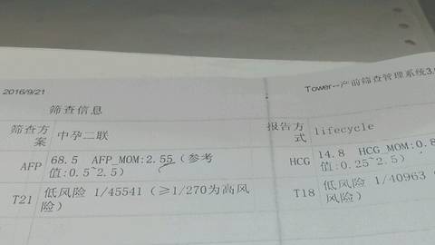 journal_insert_pic_575194265