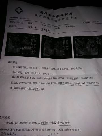 journal_insert_pic_575544170